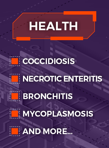 Health: 1) Coocidiosis, 2) Necrotic Enteritis, 3) Bronchitis, 4) Mycoplasmosis, 5) And More...